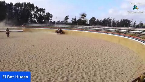 Lugares (y tradiciones) que encantan!!! Hoy Rodeo Chileno.