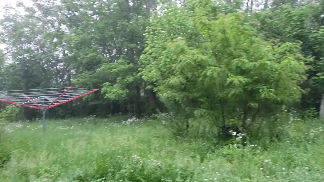 Shady Poplar Farm