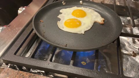 Breakfast at hedgehog Homestead