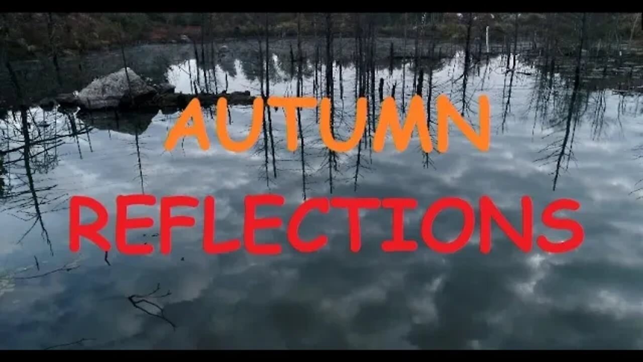 Foggy Reflections of Autumn at the Swamp 10/14/2019