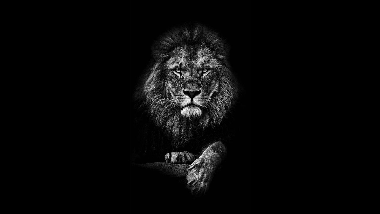 Medicine needs healing!