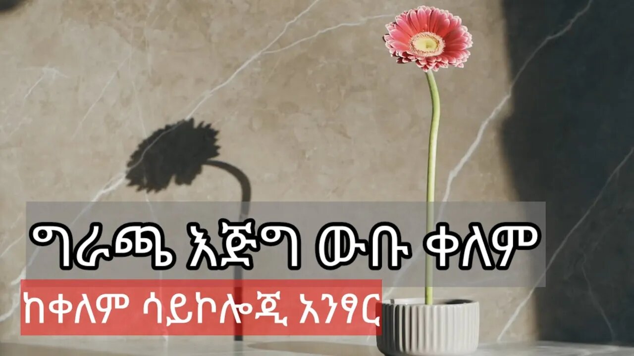 የኔ ምርጫ ግራጫ || እጅግ አስደናቂው ቀለም