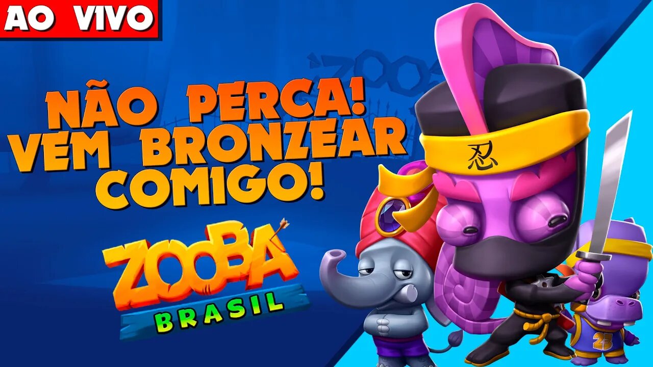 TEMPORADA ACABANDO! COMO ANDA SEUS OBJETIVOS? VEM BRONZEAR! ZOOBA #111