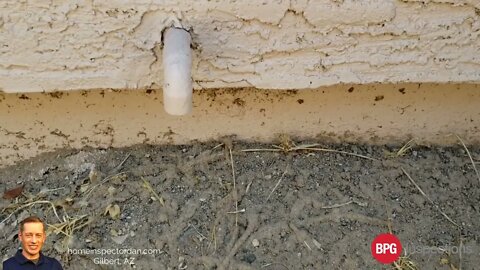 Termites and termite damage in Arizona homes found during a home inspection