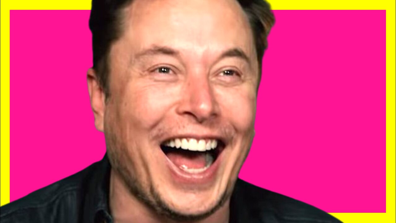 MEMES * ELON MUSK FREES THE BIRD * MEMES