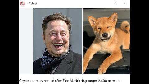 How Elon Musk's Floki Shibu Inu Cryptocurrency Connects With the UnitedHealthcare CEO Murderer