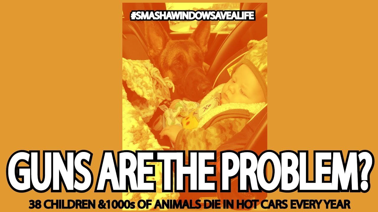 GUNS are the problem? MASS SHOOTING vs. HEAT RELATED DEATHS for kids and animal companions.