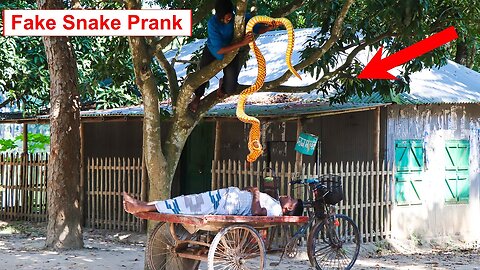 King Cobra Snake Prank 🐍 (Part 3) | Fake Snake Prank Video On Public | 4 Minute Fun