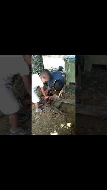 #shorts #2022 funny,prank,funjokes,dad jokes,funny memes,funny video,fun,laughing,funny animal,knock