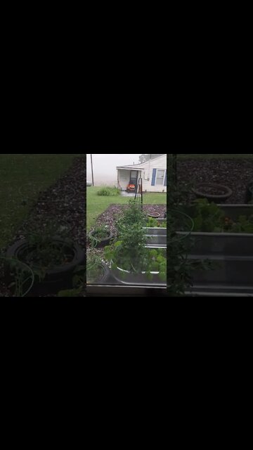 Praying The Garden Survives The Hail