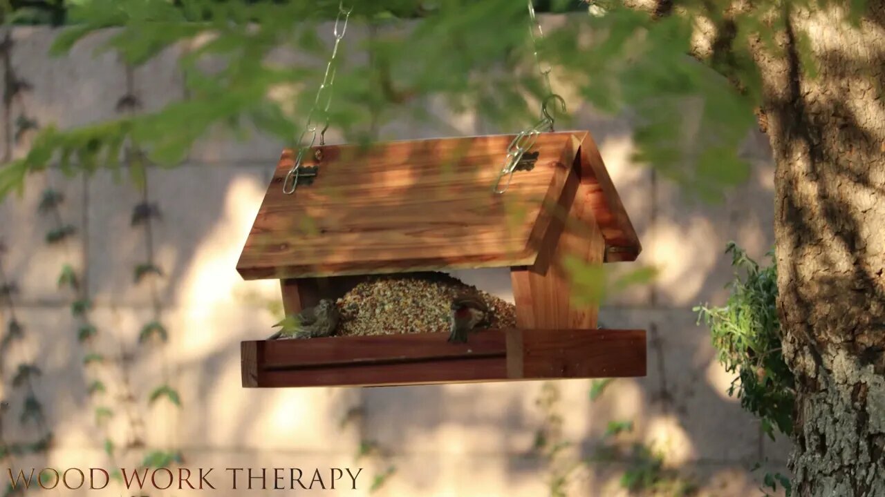 Make a bird feeder