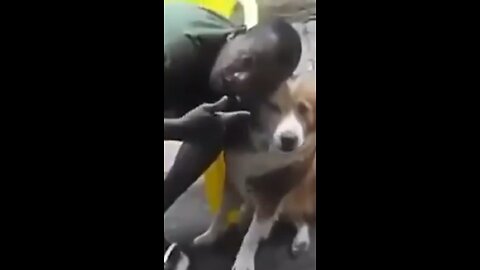 Best video online