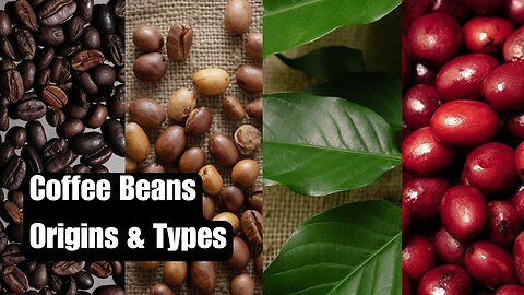 Exploring Coffee Beans: Arabica, Robusta, and More