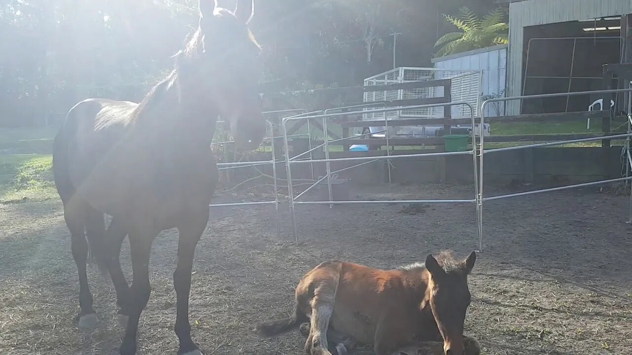 20180918_152608.mp4