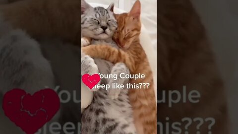 young couple sleep like this ..... #Petsandwild