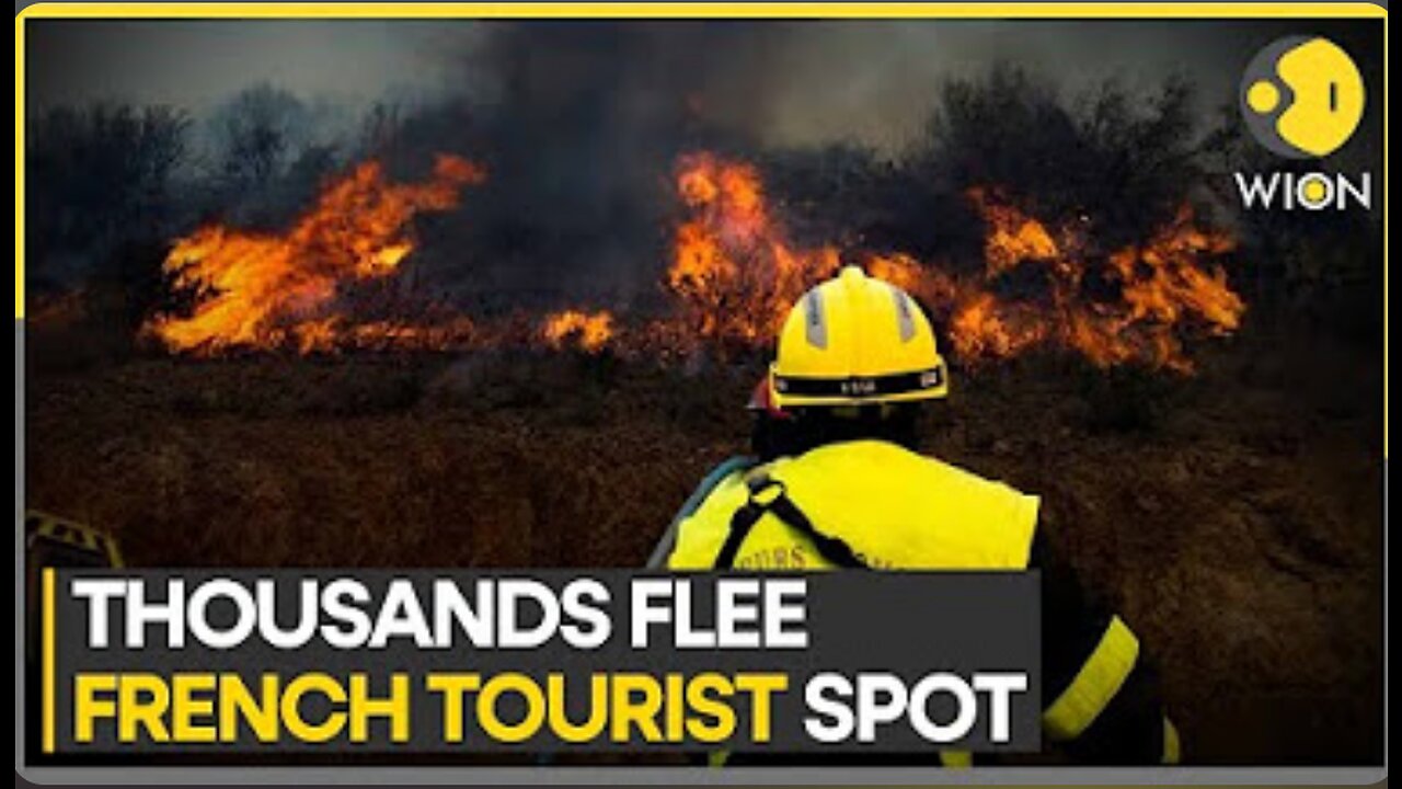 French firefighters battle to contain wildfire near border with Spain | WION Climate Tracker
