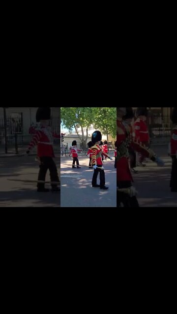 The queens guards march from the barracks to buckingham palace #buckinghampalace