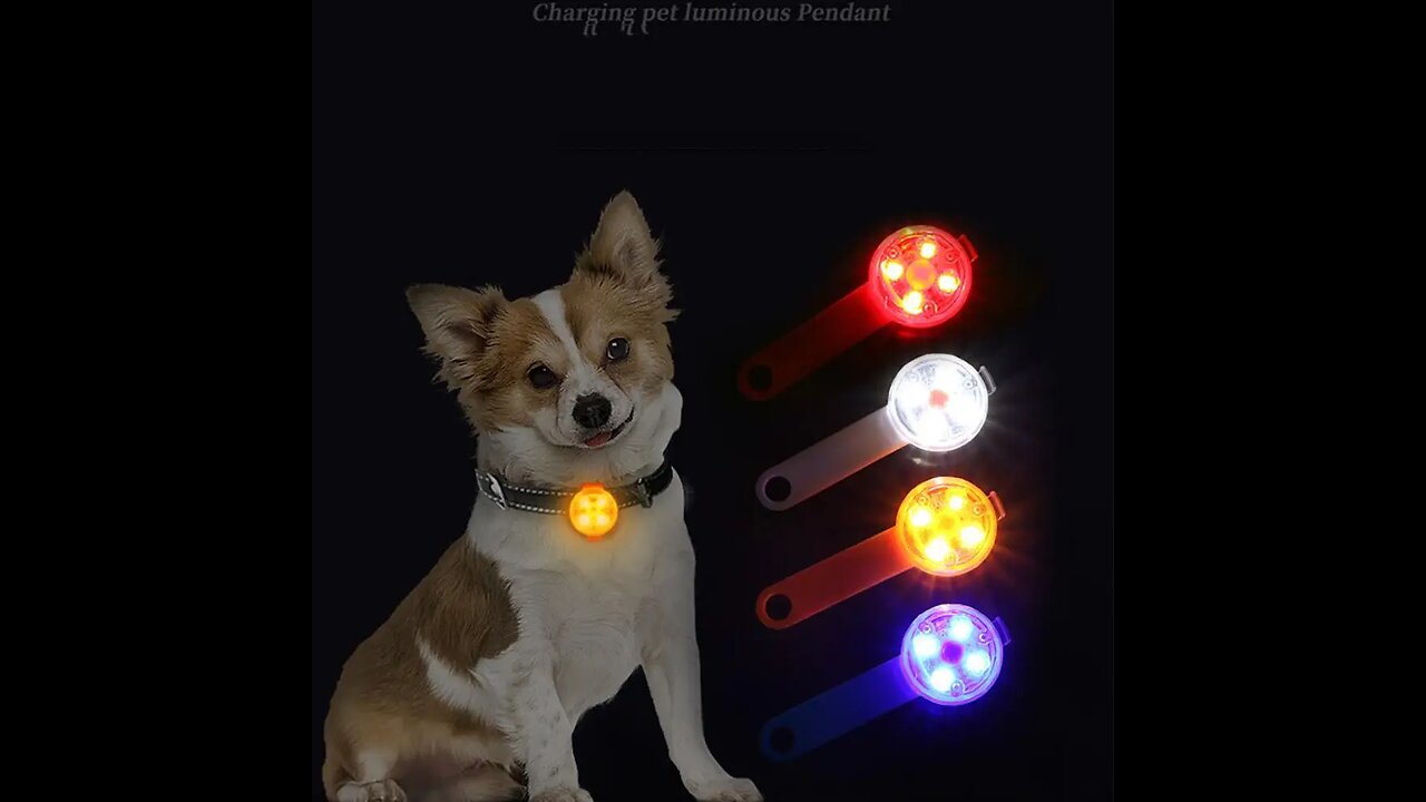 SALE!!! Pet Collar Highlight Led Luminous Pendant Waterproof USB Charging