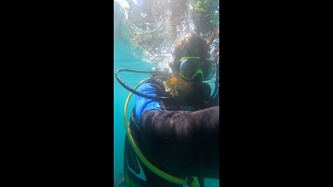 Scuba session #shorts #rumble #vlog #florida