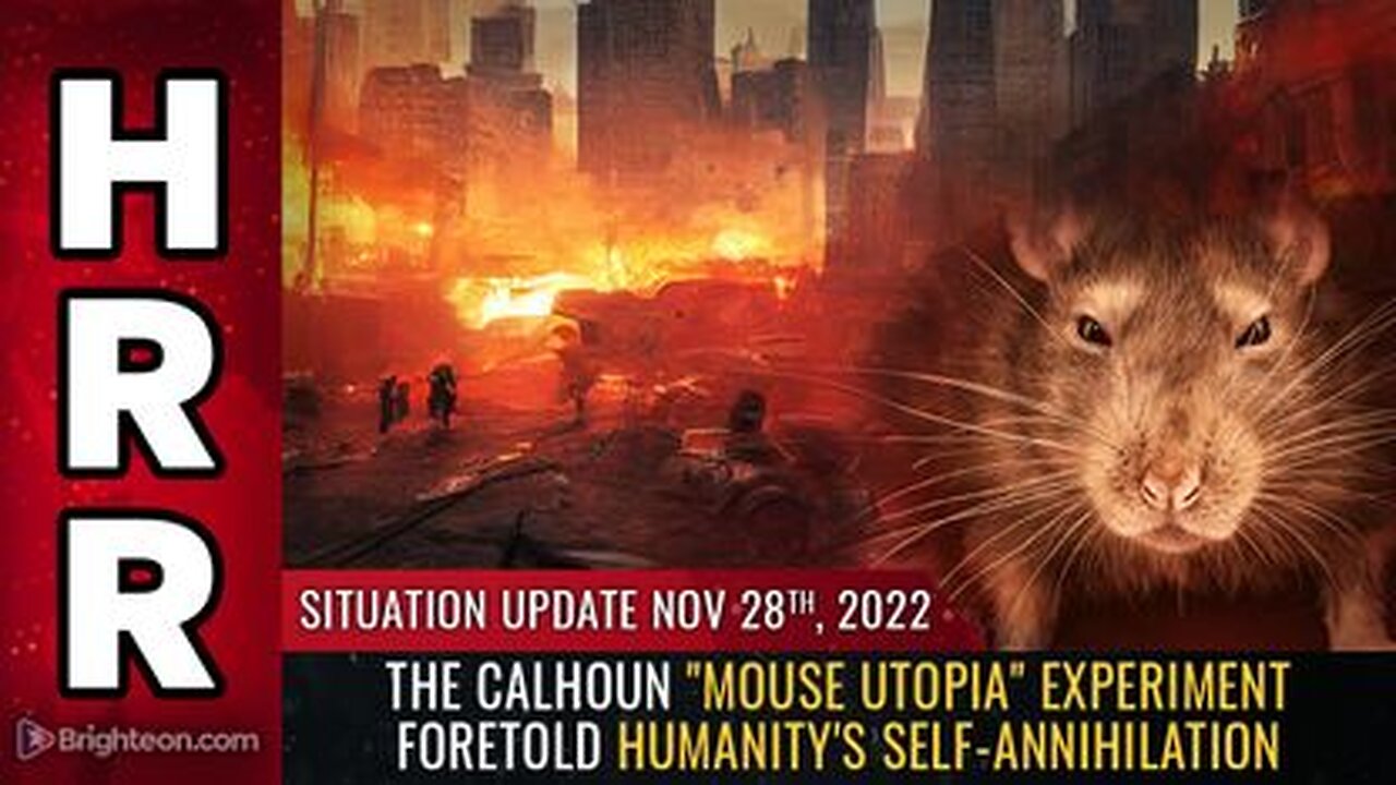 11-28-22 S.U. - The Calhoun Mouse Utopia Experiment Foretold Humanity's Self-Annihilation