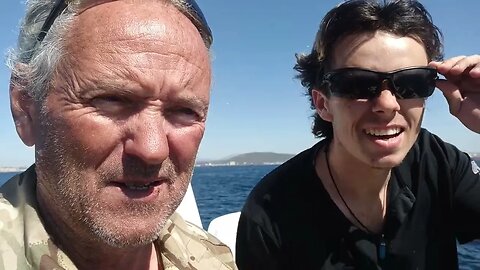 Lots of dolphins in the bay today.