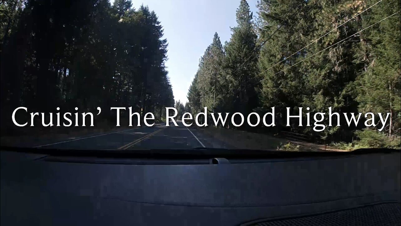 DSA- Cruisin’ the Redwood Highway. Giant trees down by the Sea