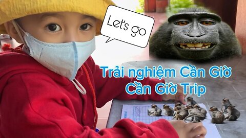 [01] Cần Giờ Travel | Hành trình 2 cha con | Thư giãn | Cho Tony trải nghiệm rừng Sát và Biển...