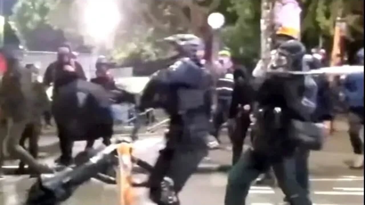 Video Shows Protester Hit Seattle Police Officer In The Head With A Metal Baseball Bat!