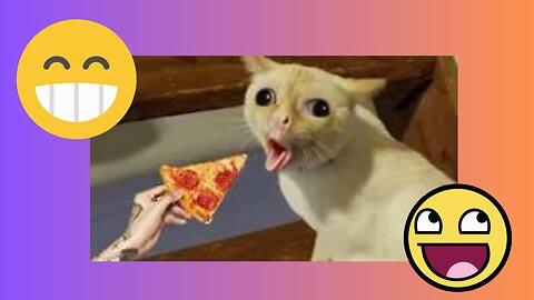 😄😀TRY NOT TO LAUGH. TOP FUNNY MOMENTS WITH ANIMALS.