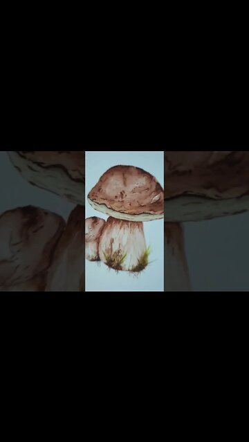 Mushroom Paintings #shorts #artistshorts #shrooms #mushroom #watercolor