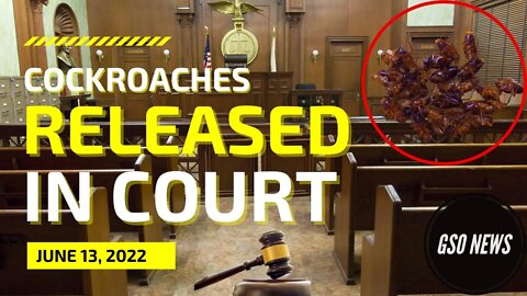 Roaches RELEASED In Courthouse