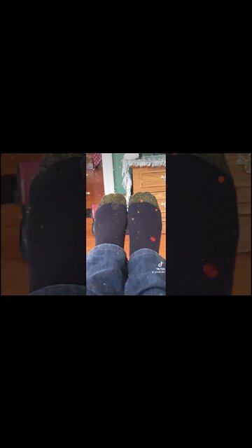 Lets Have A Piggy Party! Common!