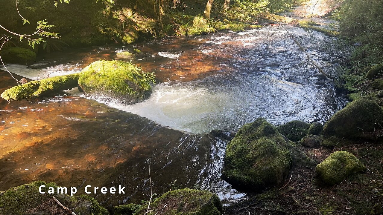 SILENT PERSPECTIVES (4K) of Camp Creek @ Camp Creek Campground! | Mount Hood National Forest Oregon