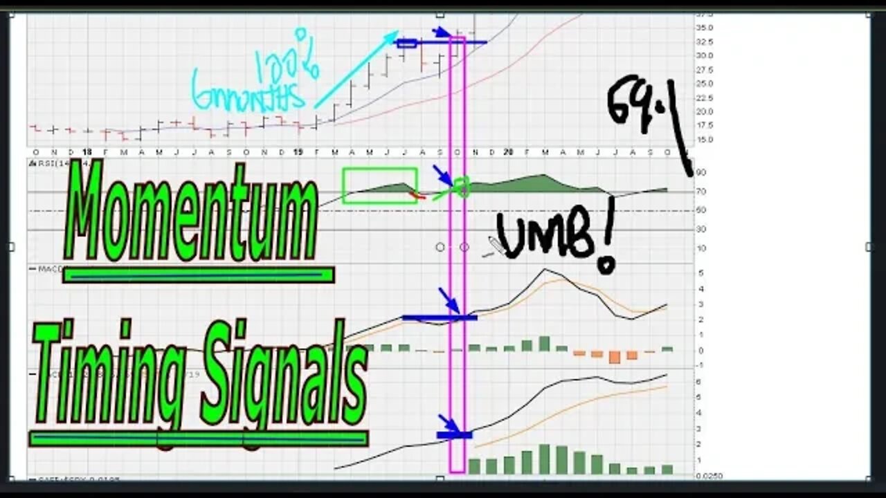 Momentum Timing Signals - #1268