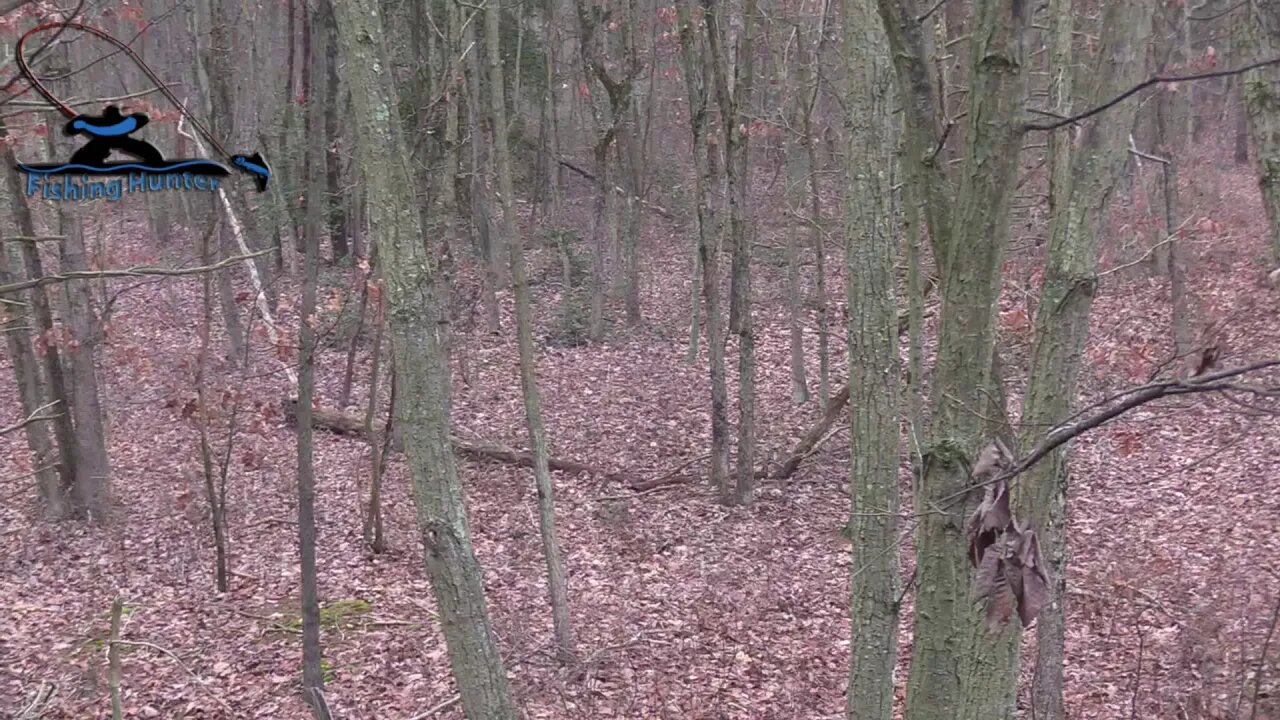 Bow hunting Whitetail Deer in New Jersey | Self filmed | 12/12/2020