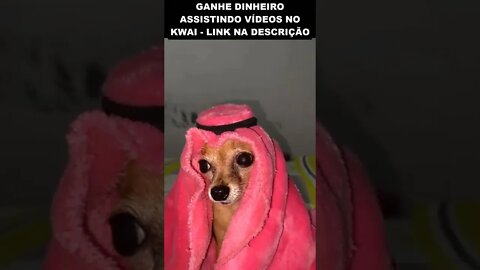 O PET DE DUBAI 😂😂😂