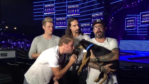 Get tickets to Backstreet Boys' Vegas residency by donating to Animal Foundation