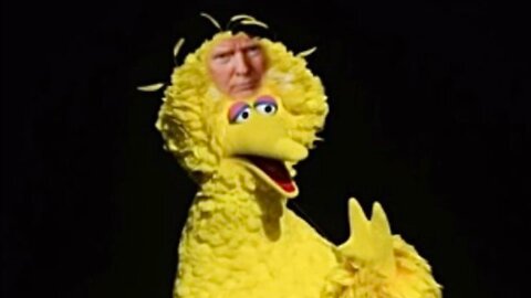 The Ultimate Donald Trump Big Bird Meme! 🐦