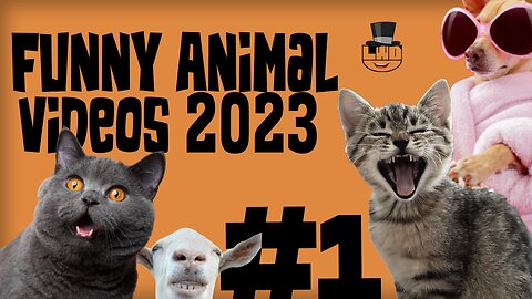 Funny Animal Videos 2023 #1 - The Funniest Dogs and Cats😁