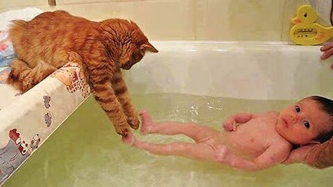 Funniest Animals 2023 😂 Funny videos about cats and dogs 😺🐶 Part 16