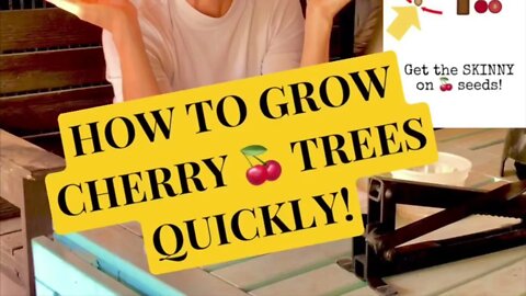 How to Start a Cherry Tree at Home! 🍒