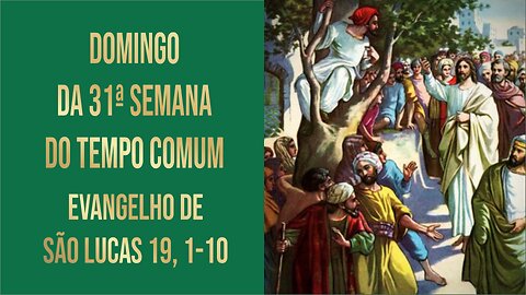 Domingo da 31ª Semana do Tempo Comum - Ano C