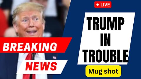 Unveiling Booking Photos: Trump & Co-Defendants - A Legal Intersection" USA