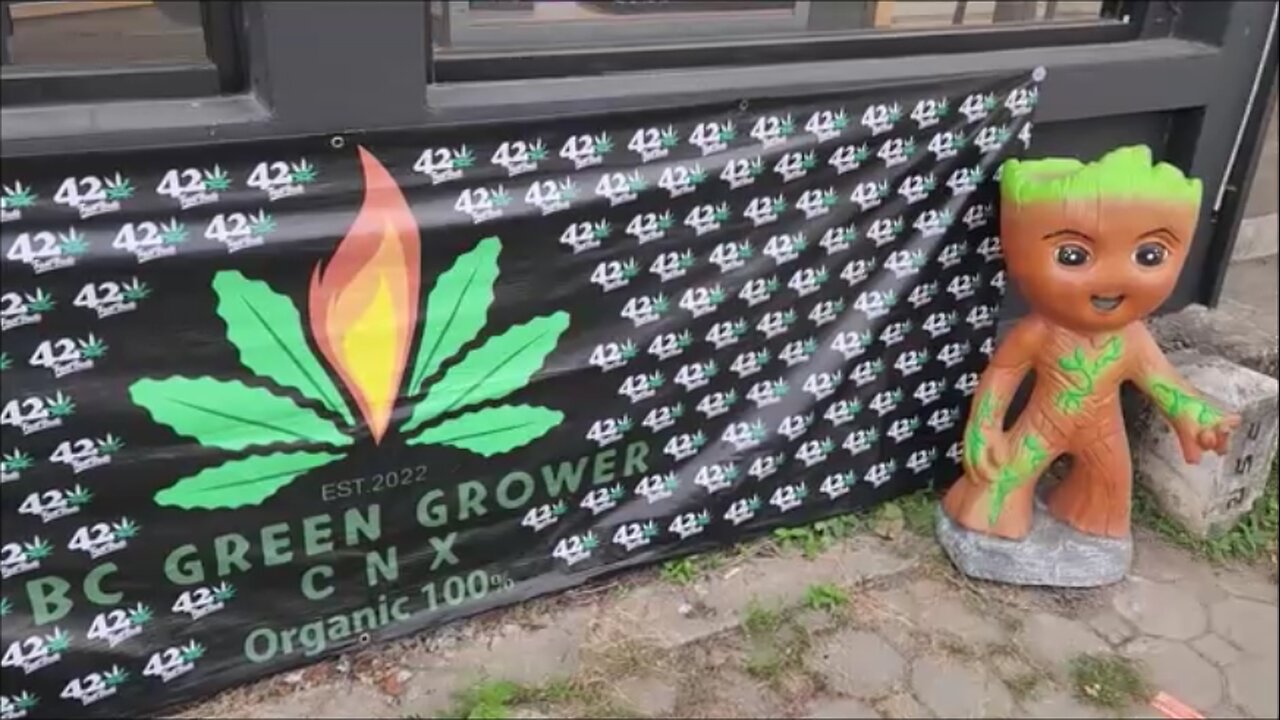 BC Green Grower Interview Part 2 of 5