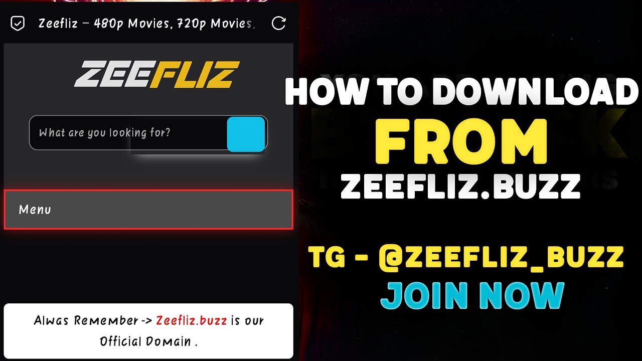 How To Download From ZEEFLIZ.BUZZ [ April 2024 Update ❗]