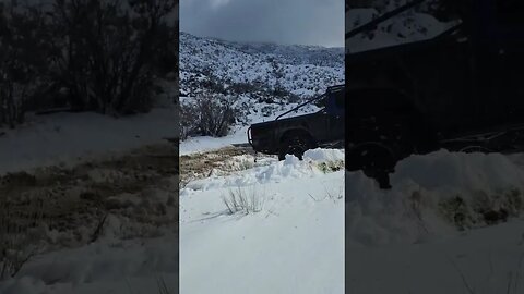 Fresh Snow, Cleghorn Trail