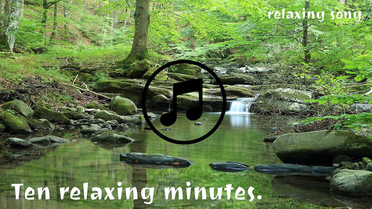 Ten minutes to relax with the sound of a stream