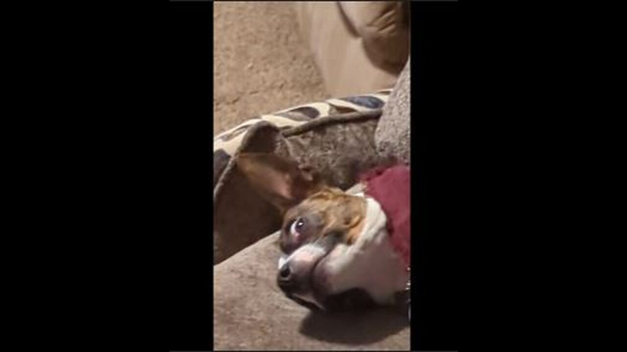 Crazy eye from Princess