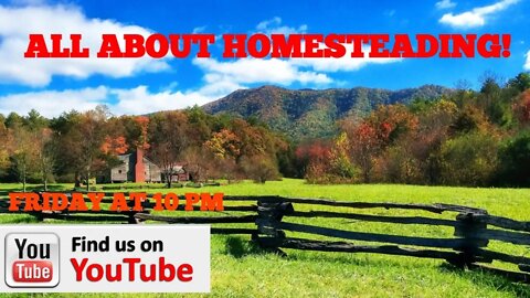 All about homesteading! How to do it with success! (Feat. Mohomesteading)