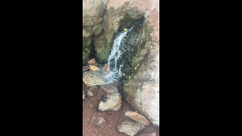 Water fall